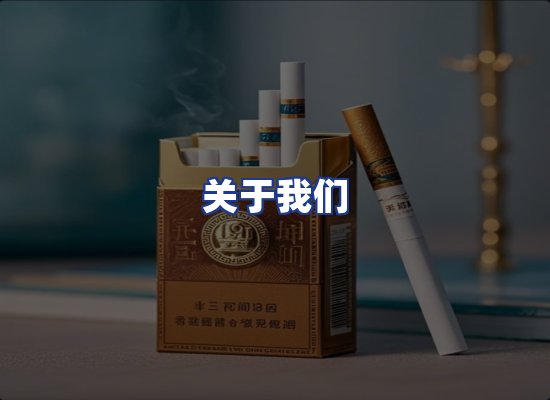 专业团队